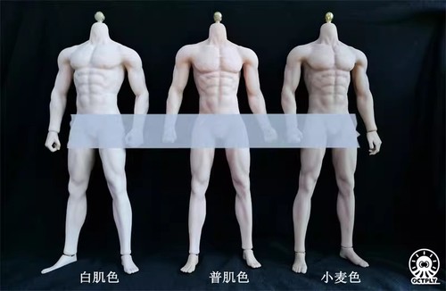 Octply om001 corpo - om001, 1/6