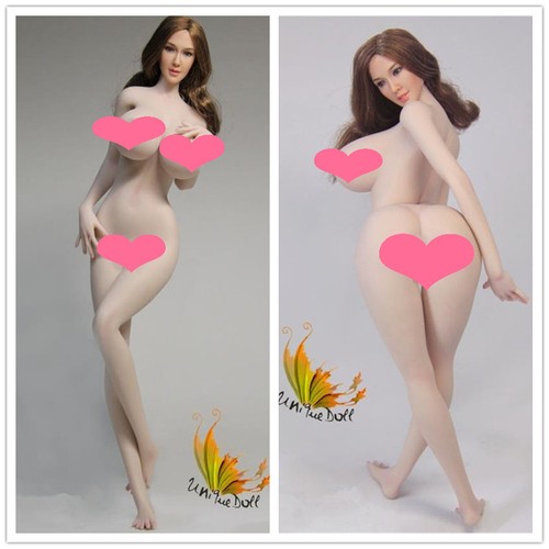 Modellino uandd 6 corpo - uandd, ud